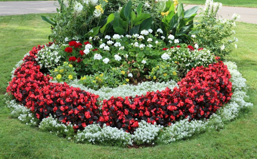 How to Build a Raised Garden Bed Cheap