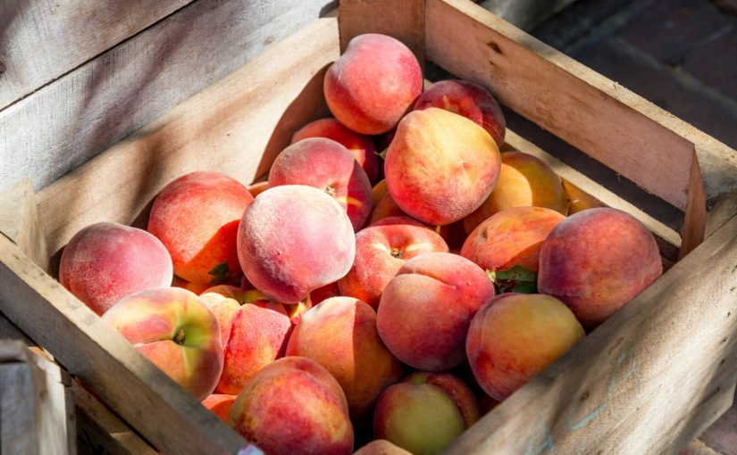 How to Grow a Peach Tree from the Seed