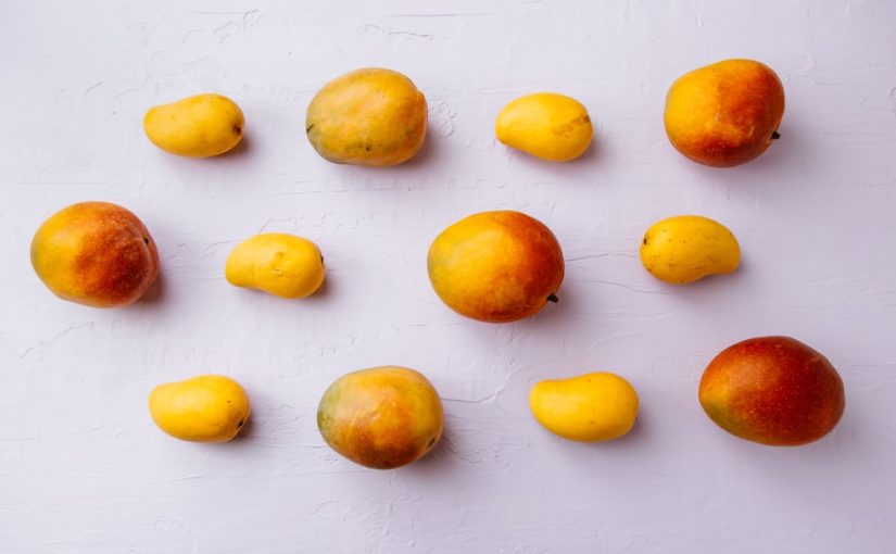 When Is the Mango Harvest Season?