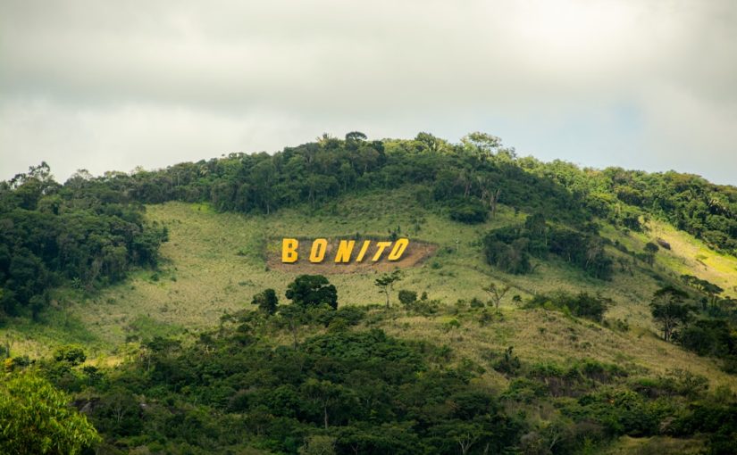 How to Grow Bougainvillea on a House Wall