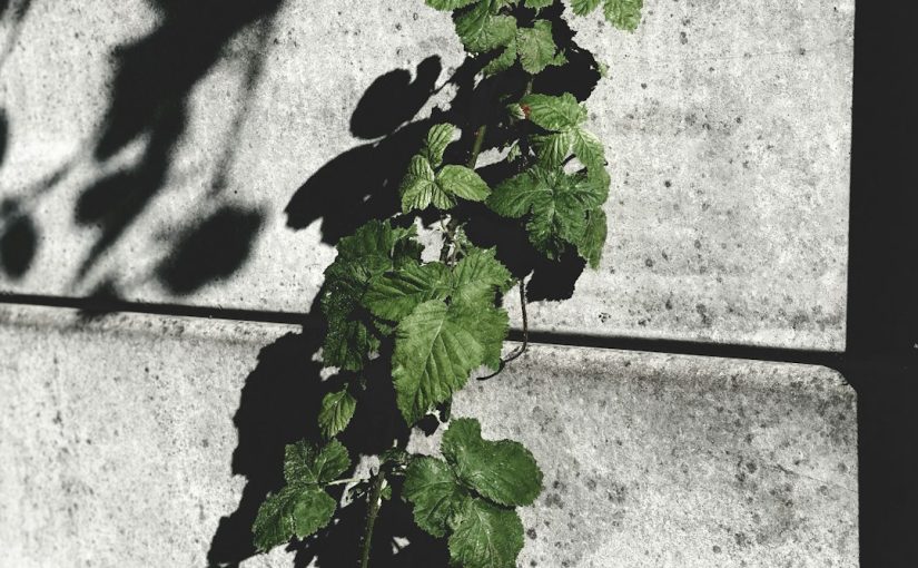 Troubleshooting a Landscape Transformer