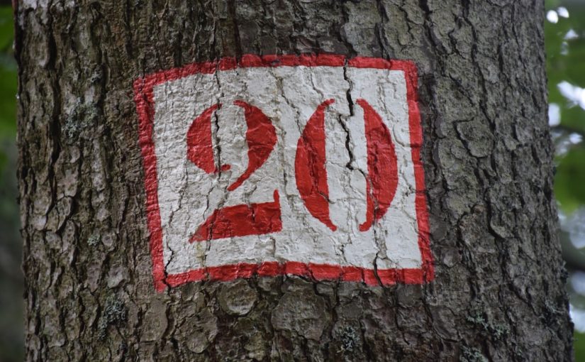 How to Kill a Banyan Tree