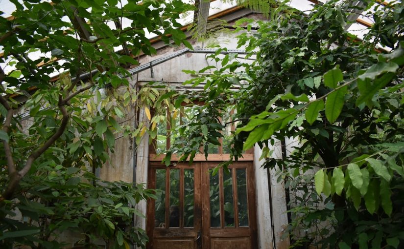 Garden Design: How to Create a Landscape with Separate “Rooms”