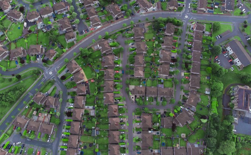 Detroit Hives: How This Mission Saves Bees and Builds Community