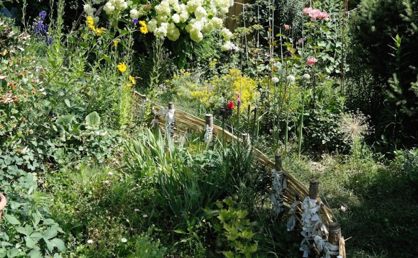 The 7 Best Birdbaths to Attract More Birds to Your Yard