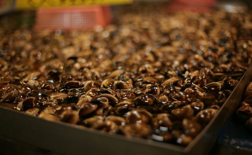 The Best Seed Storage Containers for Your Garden Favorites