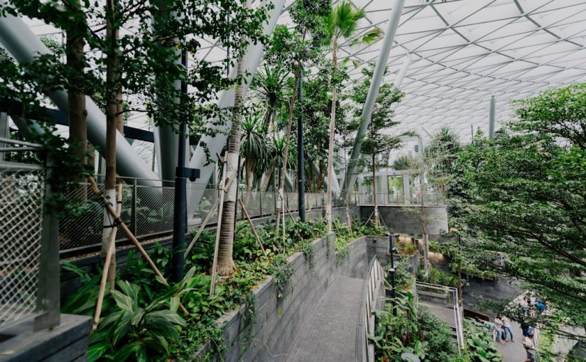 The Best Portable Greenhouse for Your Backyard or Balcony