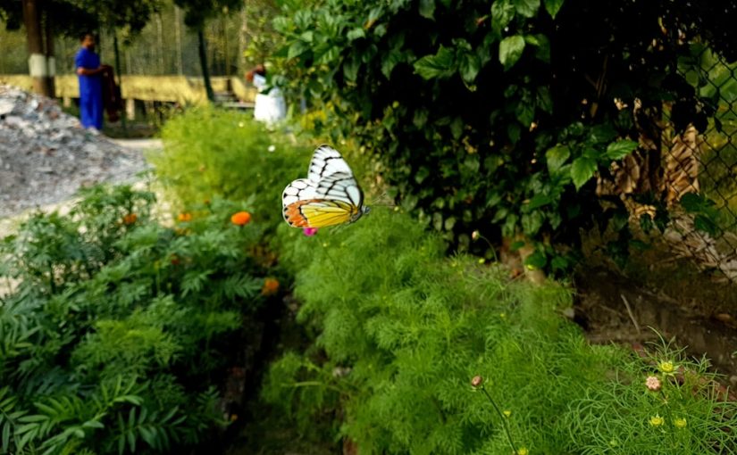 8 Essential Gardening Tools Every Green Thumb Needs