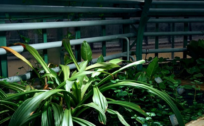 The Best Soil Moisture Meters for Perfect Plant Watering