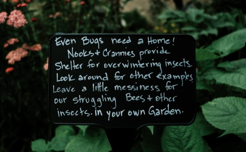 5 Essential Weeding Tools to Eliminate Dandelions