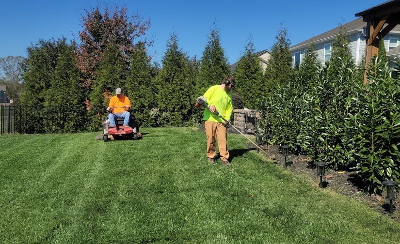 6 Pruning Tools Every Gardener Should Own