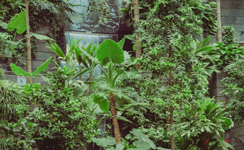 How to Control Roly-Polies (Pillbugs) in Your Garden