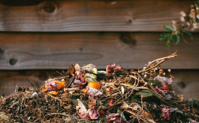 The Best Compost Bin Options: A Complete Overview