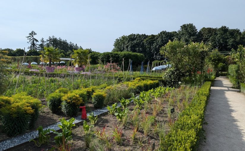 The Best Ways to Improve Drainage in a Vegetable Garden