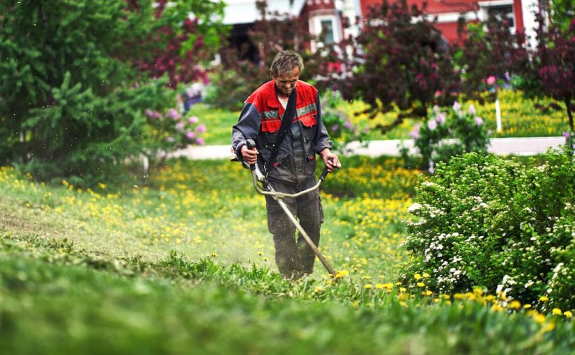 The Ultimate Beginner’s Guide to Gardening