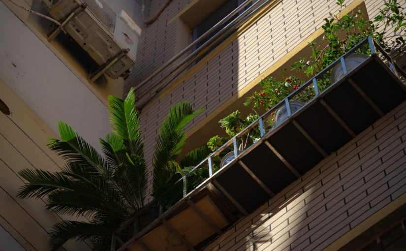 How to Build and Grow a Salad Garden on Your Balcony