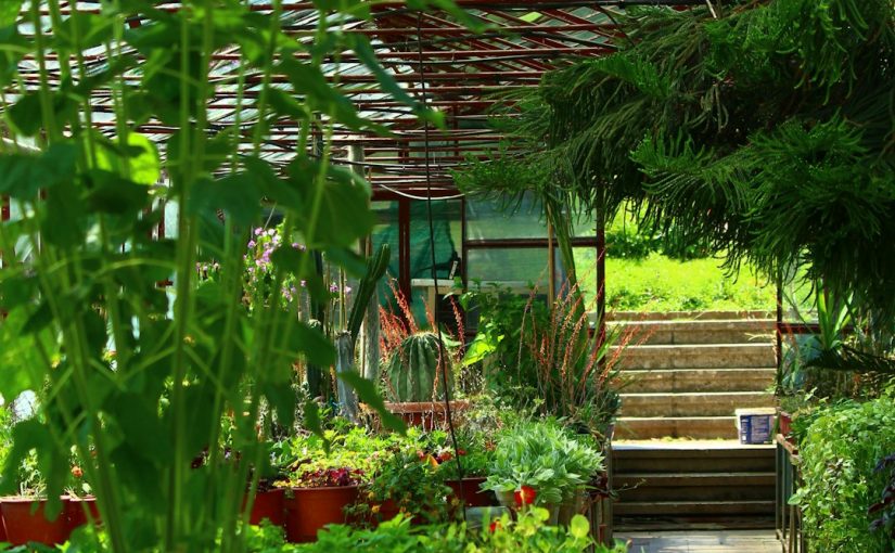 Garden Art & Pathway Designs for a Beautiful Yard