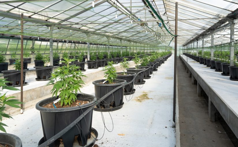 How to Make Geometric Planter Boxes for Your Patio