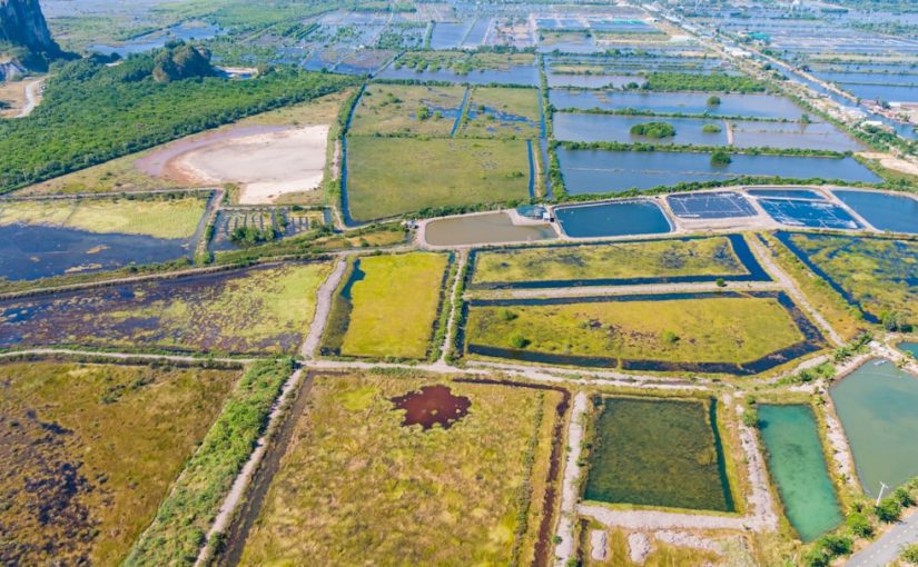 How to Use a Salt Block to Get Rid of Cattails