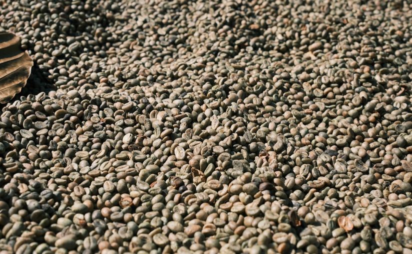 How to Make Outdoor Planters from Sand