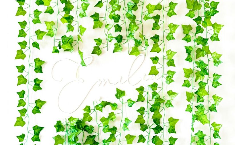 Evergreens That Grow Tall & Have Deep Roots