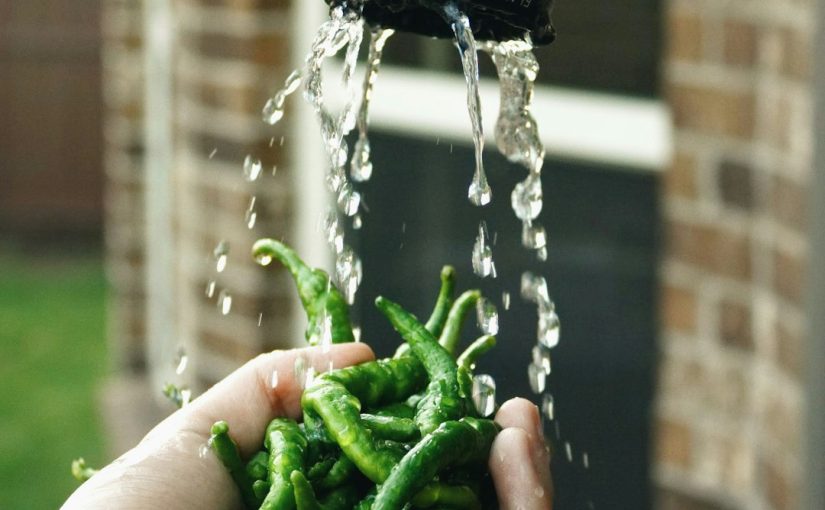 Watering Hibiscus with Vinegar: Is It Beneficial?