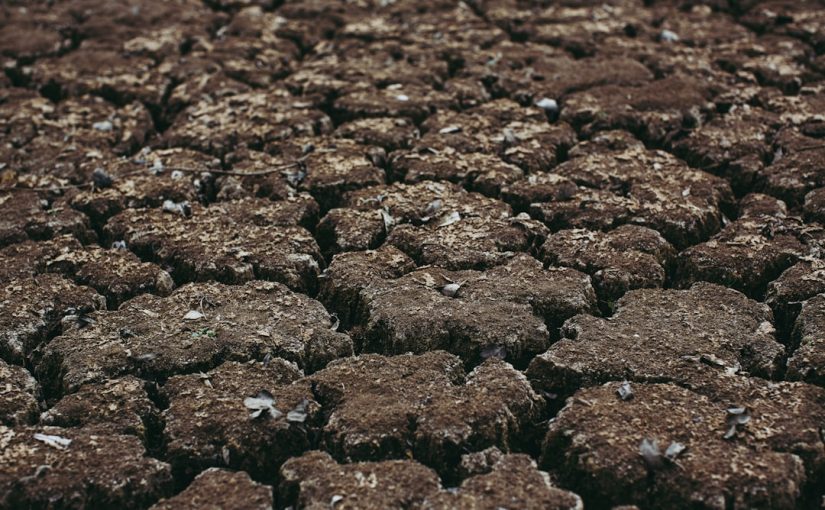 The Effects of Cigarette Ash in the Soil