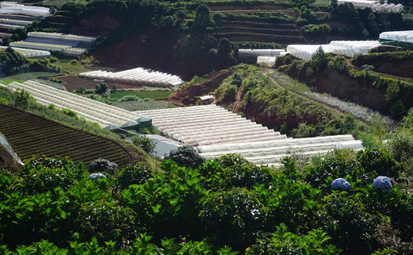 How Does the Slope of Land Affect Plant Growth?