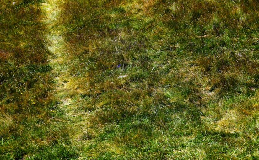 How to Disengage a Troy-Bilt Cut in Reverse Cut Off