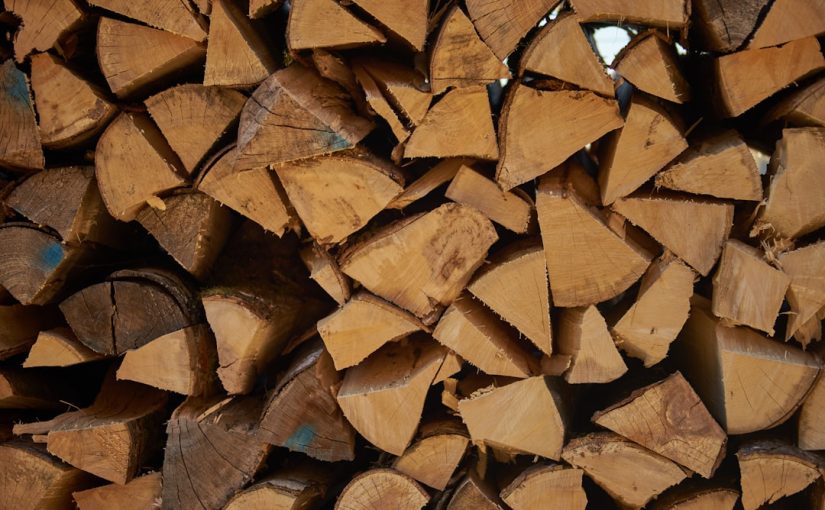 Can a Reciprocating Saw Be Used to Cut a Tree?