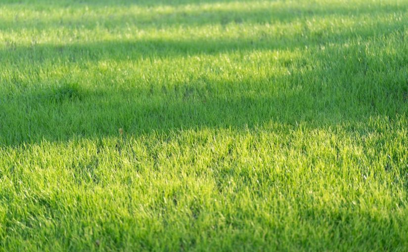 How to Add a Lawn Bagger to a Mower