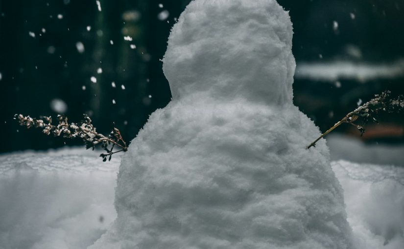 How to Drain the Gas on a Toro 98CC Snow Blower