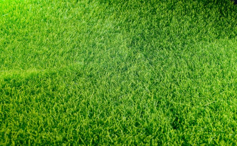 How to Replace the Drive Belt on a Craftsman GT3000