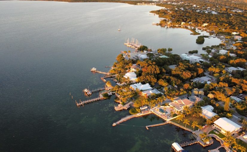 The Best Way to Clean Weeds Out of a Lakefront