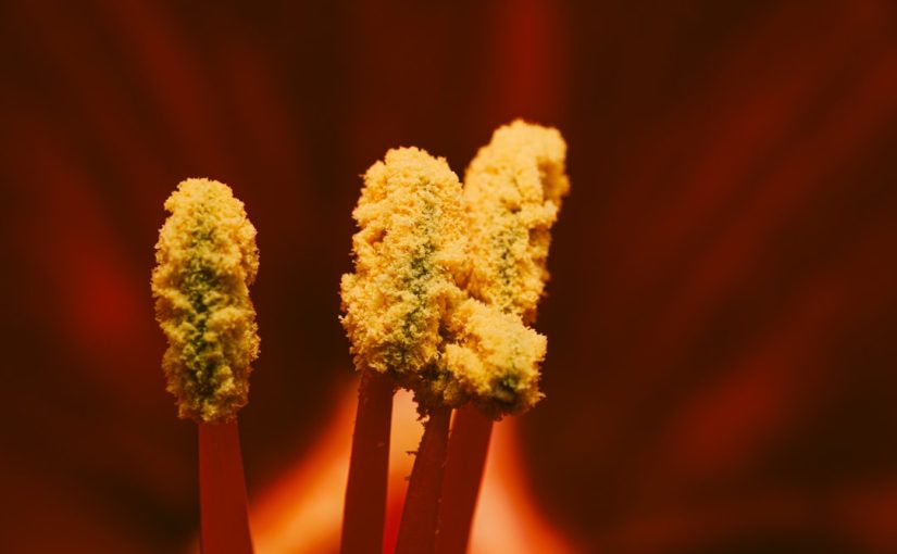 How to Use a Torch to Burn Weeds