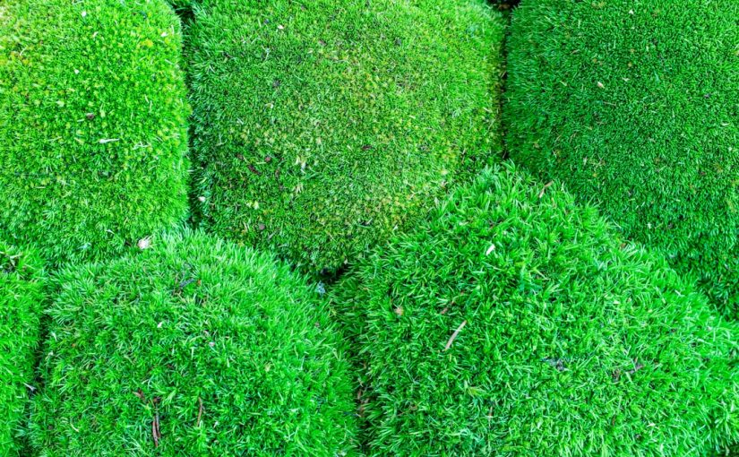 How to Line a Ditch With Rock