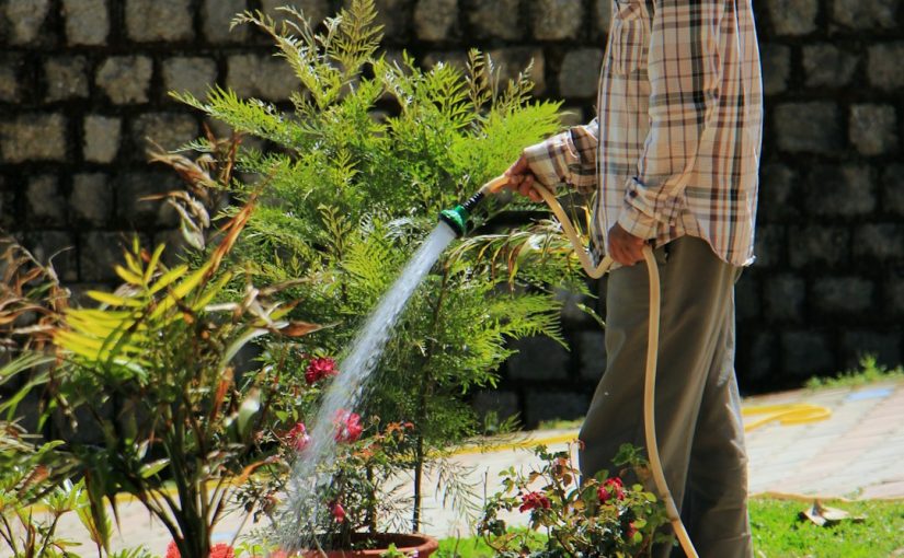 Can You Cover Weeds With Mulch to Kill Them?