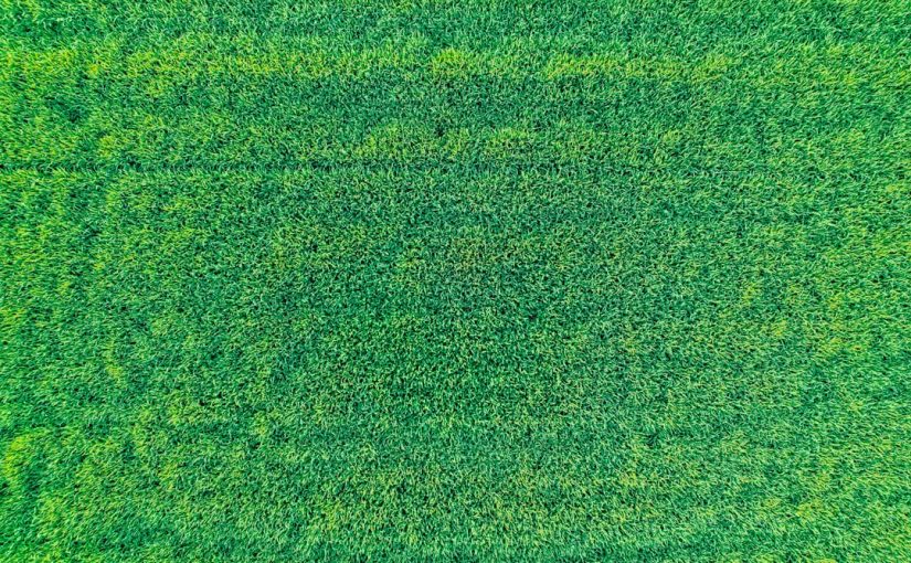 Will Landscape Fabric Kill Grass?