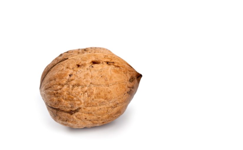 Types of Dwarf Coconut Trees