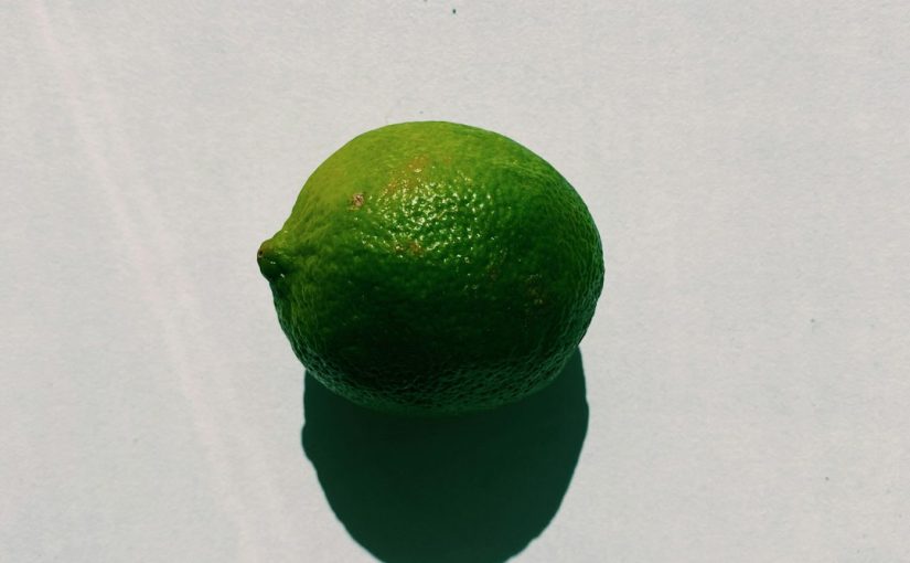 What Is the Oldest Fruit Tree in the World?