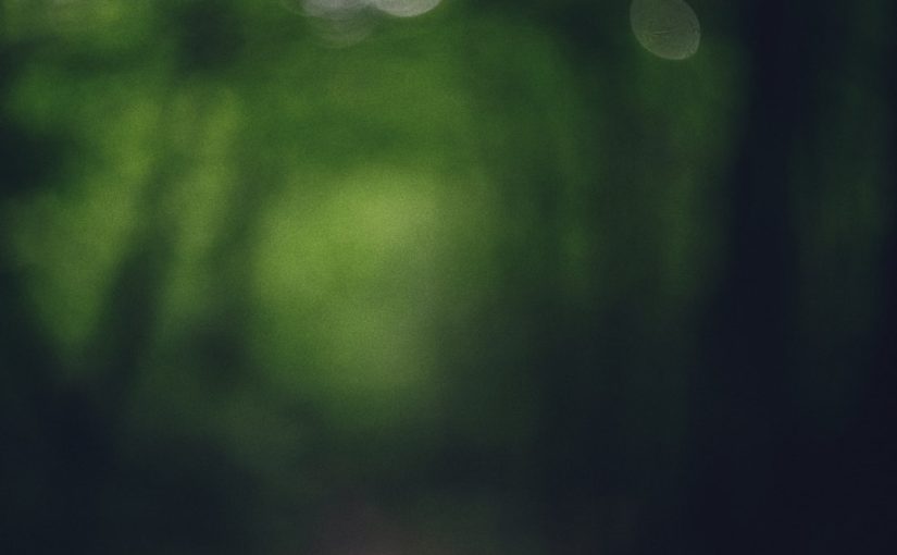 Why Is My Flowering Crab Tree Losing Its Leaves?