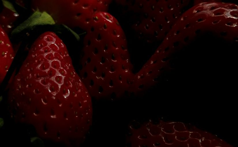 When Are Elderberries Ripe?