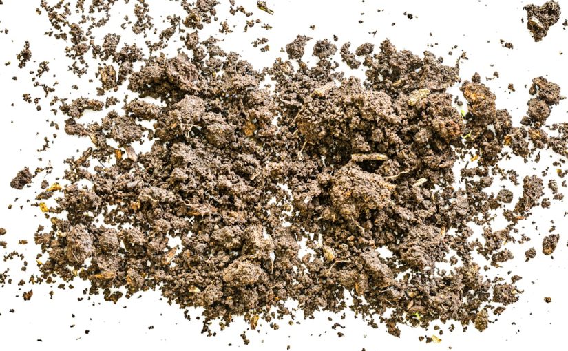 Ant Resistant Mulch Options