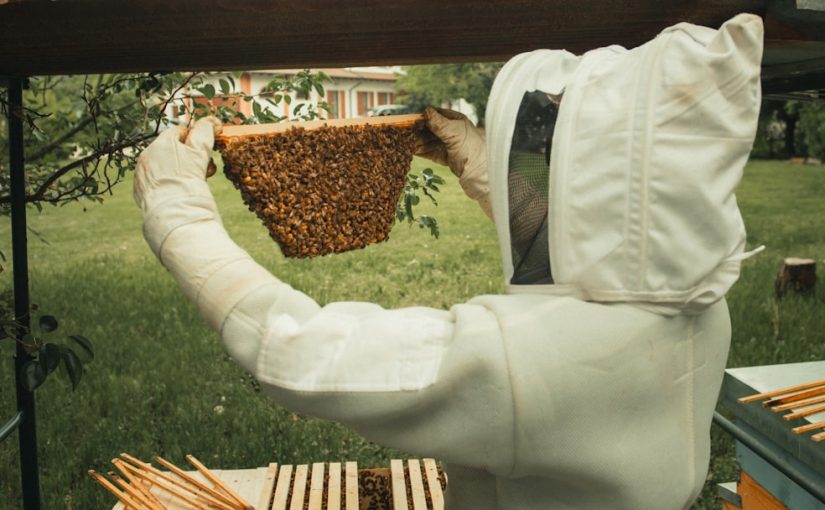 How to Use a Glass Bee Catcher