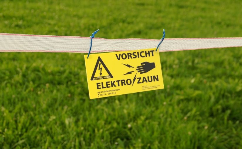 What to Put on Your Lawn to Kill Fleas and Ticks