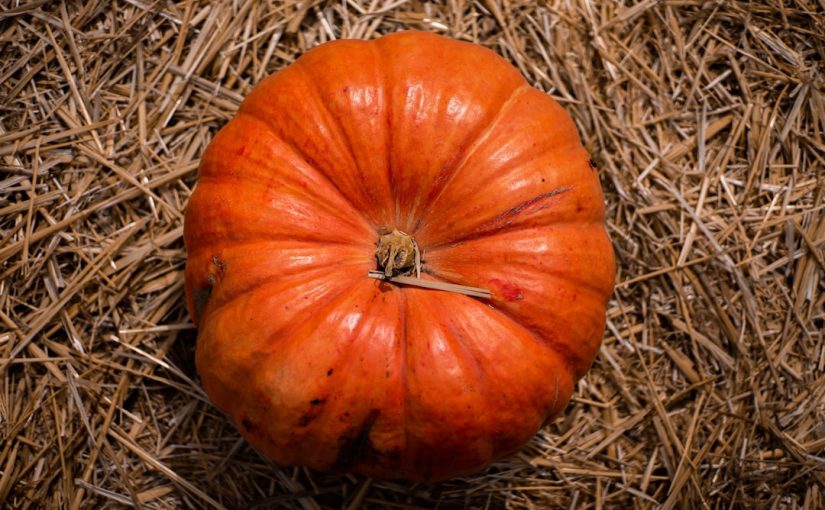 How Long Do Pumpkins Last?